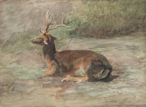 Роза Бонёр, «Лежащий олень», 1870-е гг.