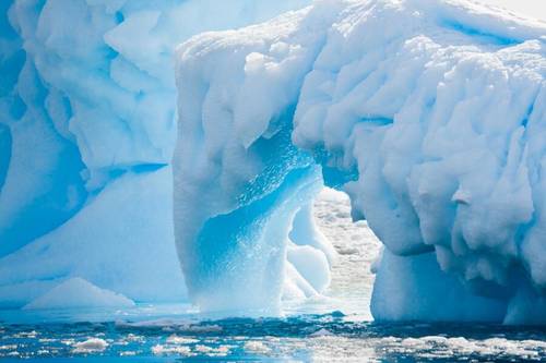 Чем особенно поражает Антарктида?