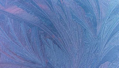 Иней. Как природа рисует зимние узоры?