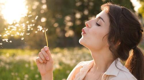 Косметическое применение одуванчика. Как превратить сорняк в орудие красоты?