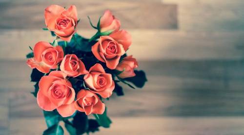 Особенности и преимущества доставки цветов онлайн при помощи интернет-сервисов. Как работают подобные компании в Сети?