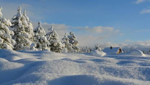Что такое наст и каким он бывает?