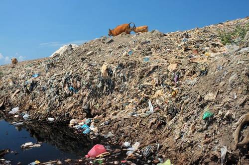 Каждые 10 лет мусорное пятно увеличивается вдвое