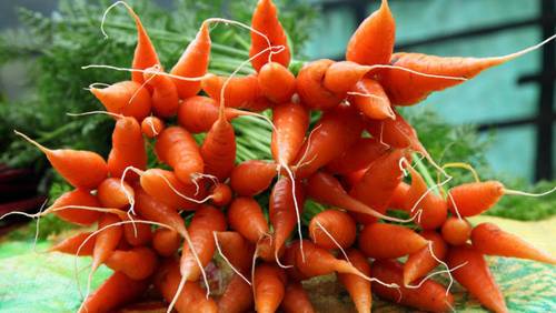 За что морковь считают несравненной, или Как познакомить детей с миром овощей?
