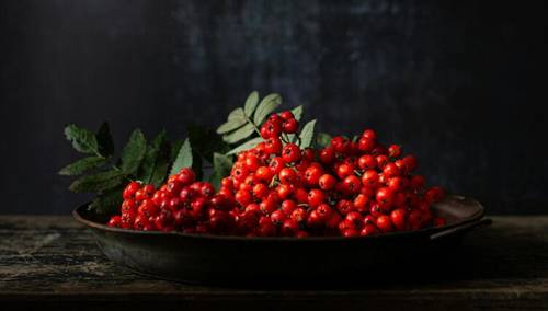 Осень и вкус горечи: почему она нужна человеку?