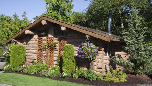 Как вырастить висячие клумбы?