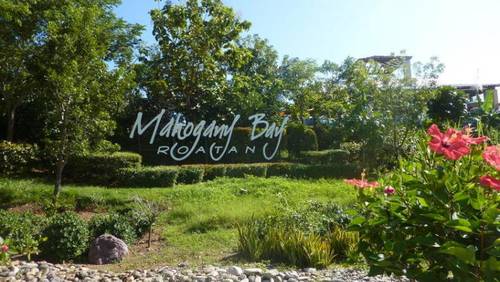 Вид на о. Роатан с палубы лайнера