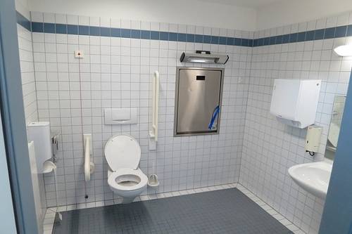 Obbligo Di Bagno Per Disabili