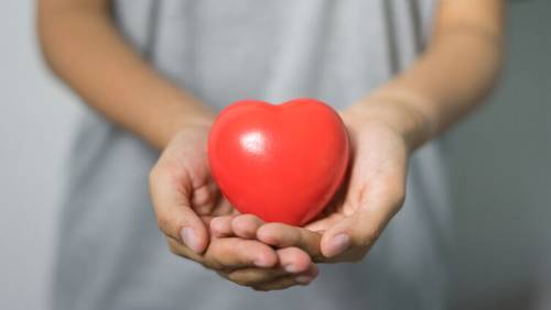 Медицинские функциональные кровати MET