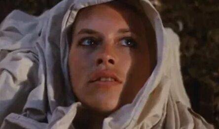 Кризис ценностей в мировом кинематографе. Чем интересно творчество режиссера Йоса Стеллинга?