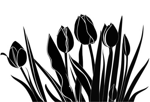 Роман «Черный тюльпан» А. Дюма повествует о «годе бедствий» в Нидерландах