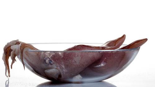 Кальмары с луком. Как быстро и легко приготовить это вкусное блюдо?