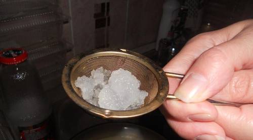 Морской рис