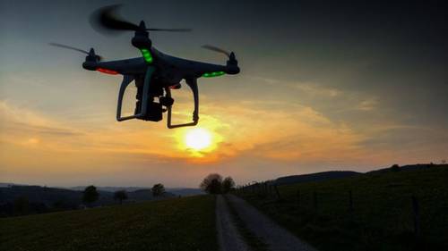 В Индонезии с помощью беспилотников изучают жизнь орангутангов