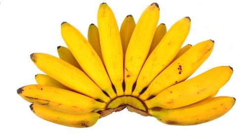 На чём растут бананы?