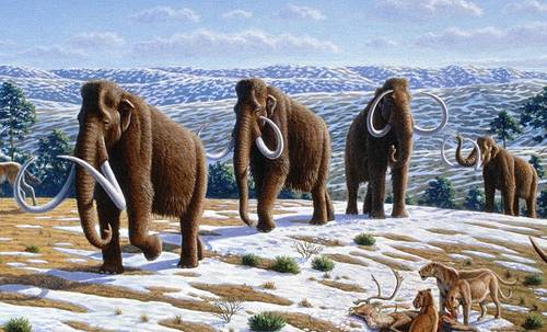 Шерстистые мамонты в ландшафте позднего плейстоцена на севере Испании в представлении художника
