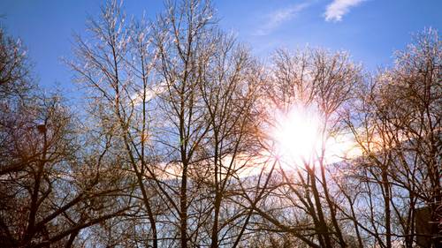 Как привлечь счастье и удачу в дом в день зимнего солнцестояния?