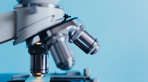 Российские предприниматели всё чаще инвестируют в биотехнологии