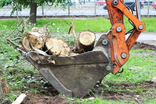 Зачем города воюют с природой?