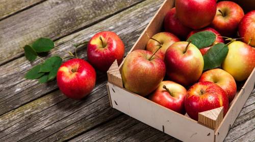 Как хранить свежие яблоки?