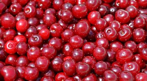 ​Осенние рецепты. Что приготовить из брусники?