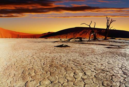 О чём поют пески пустыни Намиб? 1. Живые камни и другие чудеса