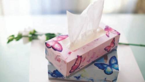 Что нового предлагает Lambi в наступившем весеннем сезоне?