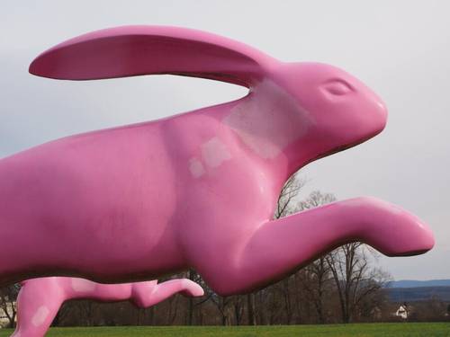 Питерские зарисовки. Что скрывает «Розовый кролик»?