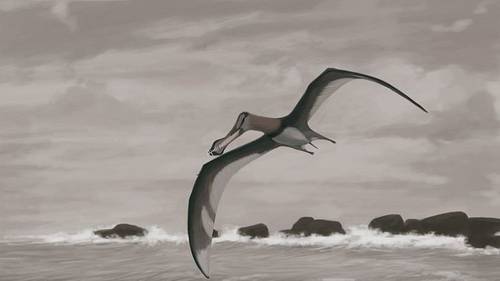 Птерозавр конца мелового периода