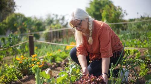 Что можно посадить на даче в июне?