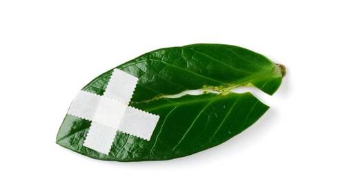 Что такое психологическая травма?