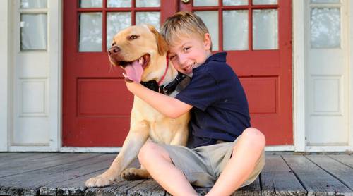 7 советов от экспертов: учим собаку командам