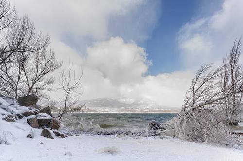 Как крапива помогла выжить бездомной вдове?