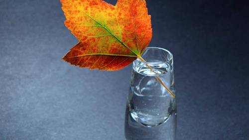 Как избавиться от депрессии?