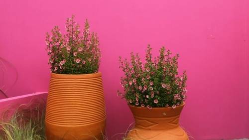 Как выбрать экологичные кашпо для дома?