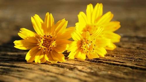 Что делать, если мужчина изменяет?