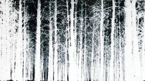 «Ведьма из Блэр»