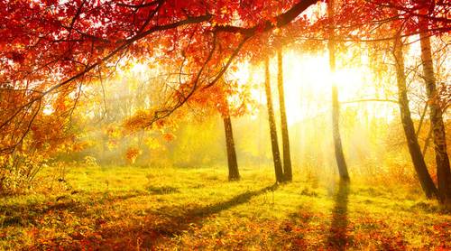 Как победить осеннюю хандру?