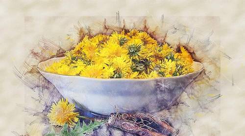 Как приготовить салат из одуванчика и крапивы?