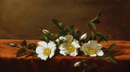 Мартин Джонсон Хед, «Розы чероки (Ветка шиповника)», 1890 г.