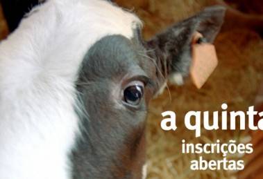 Saiba Quantas Inscricoes O Reality Show A Quinta Ja Recebeu