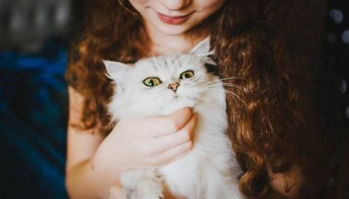 В чем секреты долголетия кошек?