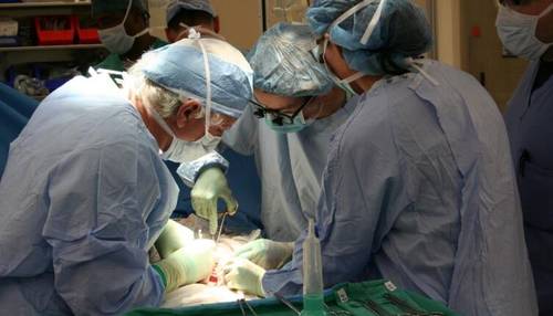 История трансплантологии: как люди учились пересаживать органы?