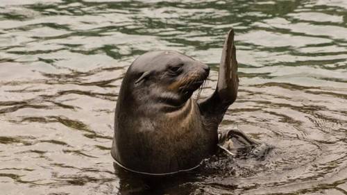 Знаете ли вы основные правила этикета?