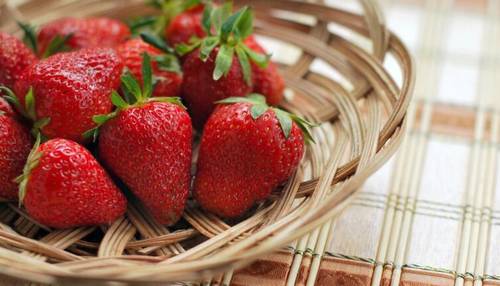 Страшный зверь. Может ли дракон прилететь  на дачу?