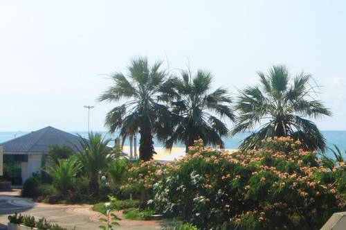 Ул. Балтийская в Дагомысе