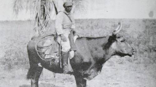 Почему воевали Боливия и Парагвай в 1932 году?