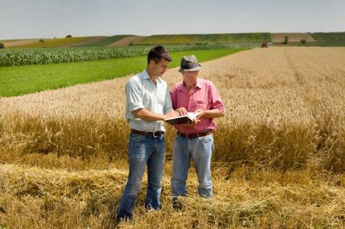 Prelazione Agraria Ultime Sentenze