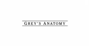 Greysanatomy title Audimetria Semanal (95)