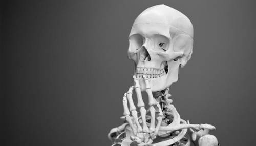 Для чего человеку скелет?